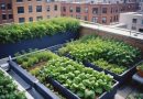 Domótica E Sustentabilidade: Como Tornar Sua Casa Mais Ecológica